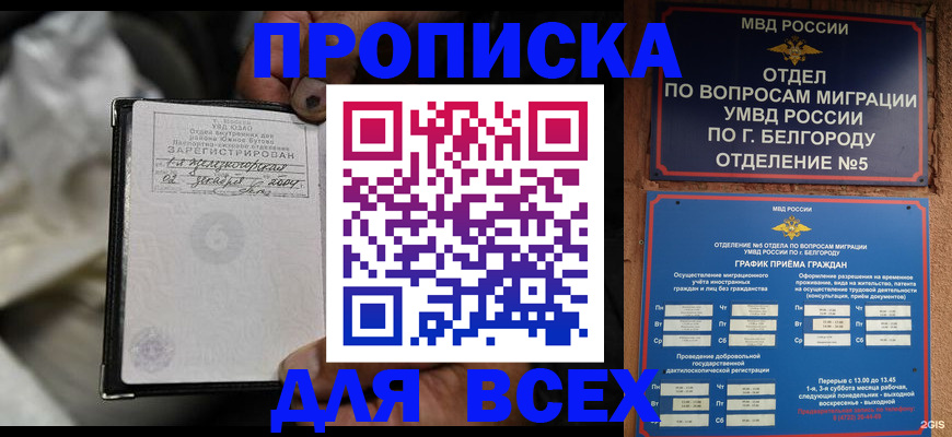 где прописаться в Курске